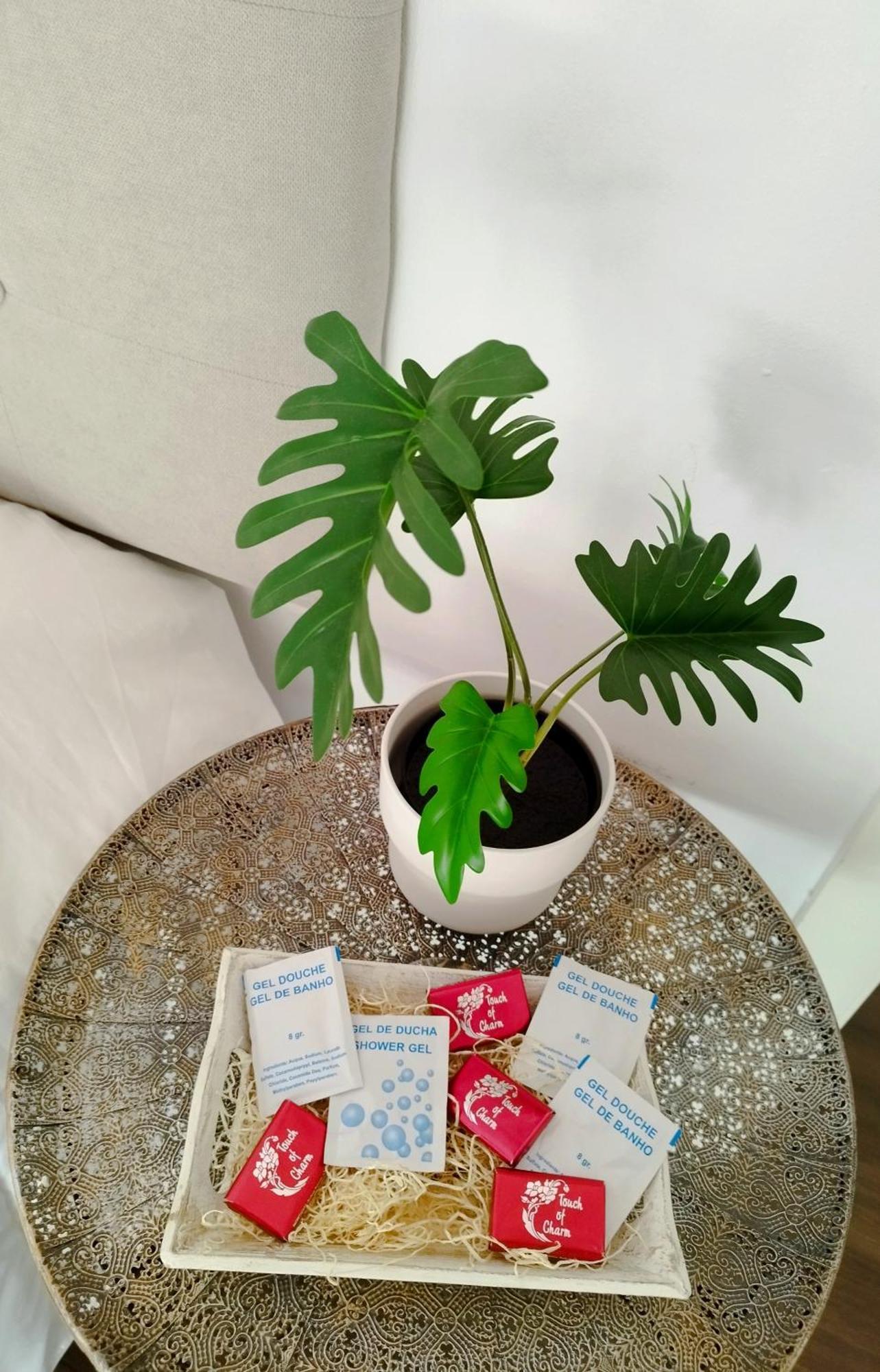 Accommodatie bij particulieren Casa Blanca